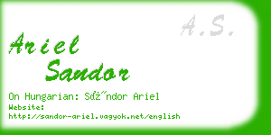 ariel sandor business card